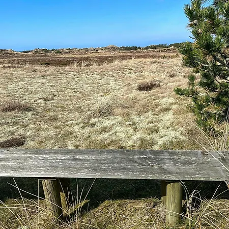 Hyggeligt Gemt I Lyngbeklaedte Klitter Pandrup
