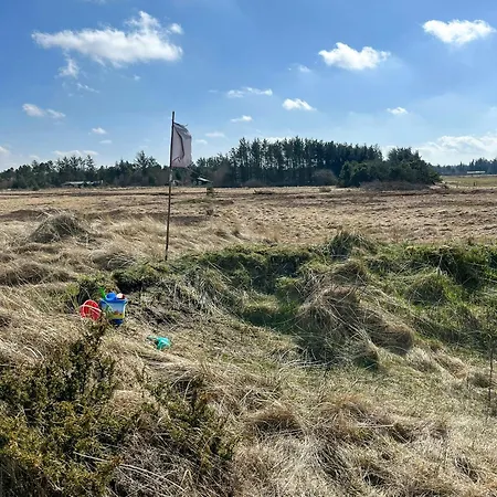 Ferienhaus Hyggeligt Gemt I Lyngbeklaedte Klitter *