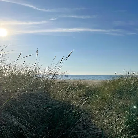 Hyggeligt Gemt I Lyngbeklaedte Klitter * Pandrup